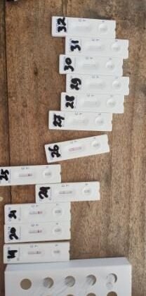 8 orang warga dusun Noanadale desa Helebeik Kec. Lobalain Rote Ndao Positif Covid-19