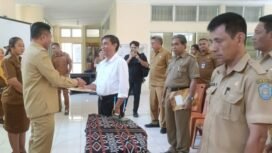 CREATOR: gd-jpeg v1.0 (using IJG JPEG v62), quality = 82?