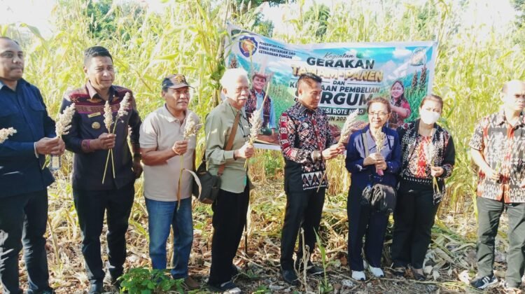 Bupati Rote Ndao Terima Paparan TBUPP, Hadiri Panen Sorgum hingga Bahas Pendidikan Bersama Mitra Strategis